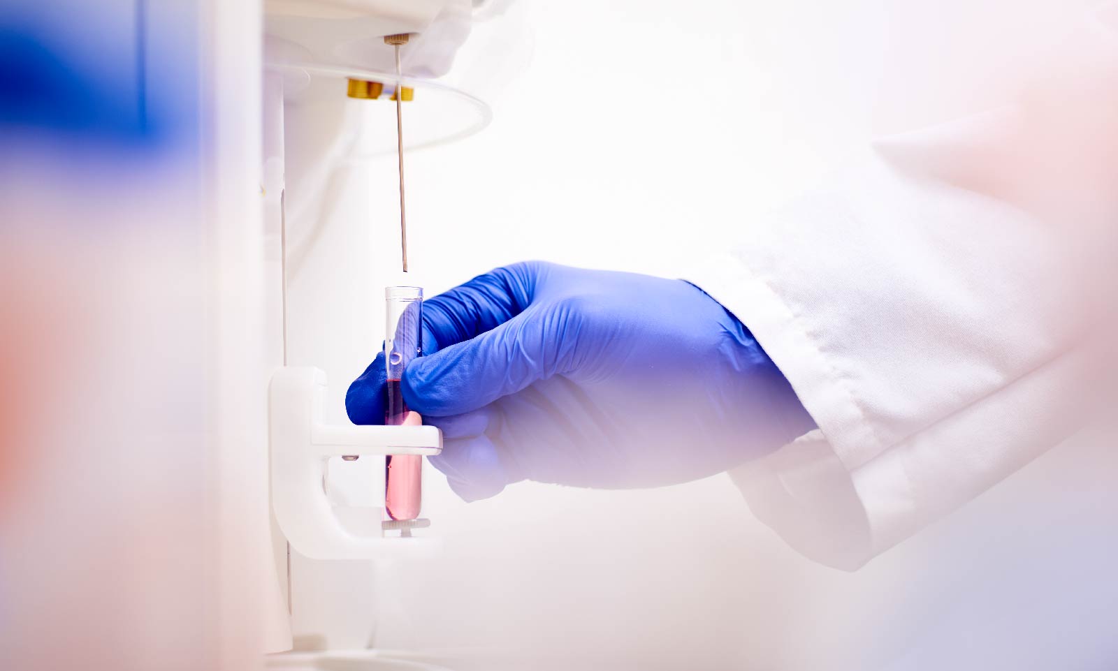 Great Lab Photos secrets to great branding Lab photography
