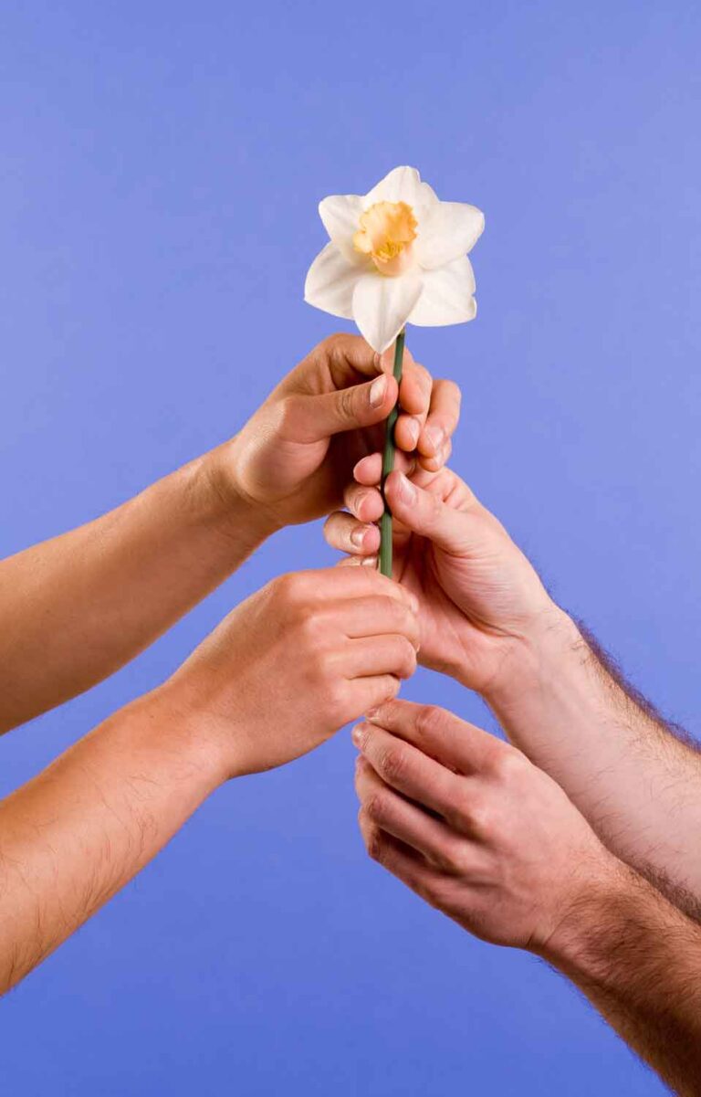 The Most Fabulous Show, the flower alternative.